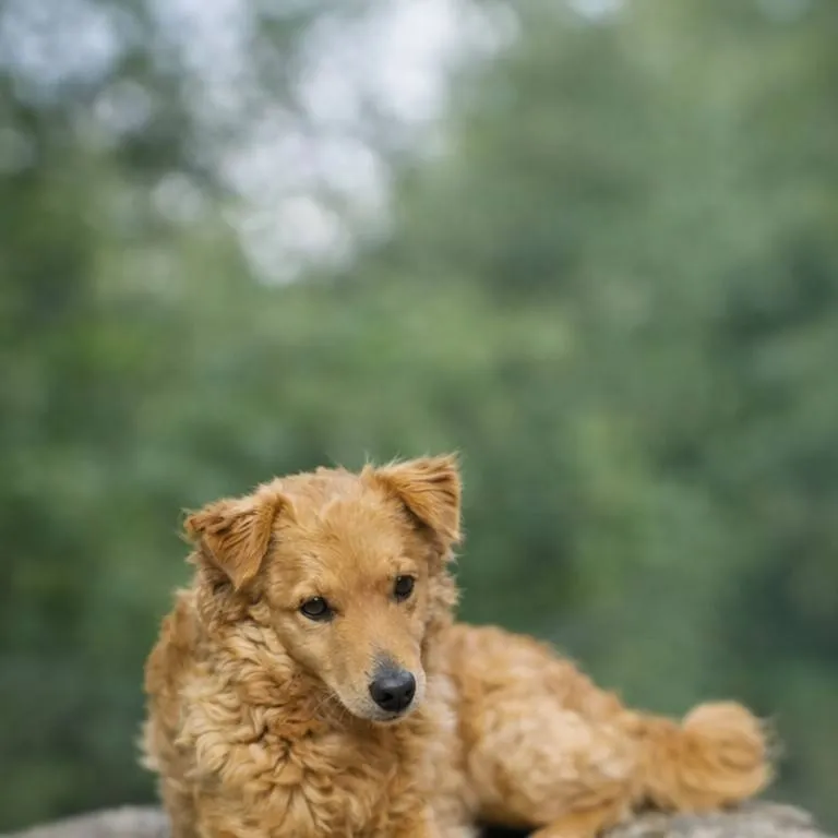 chat with ai character: Lady