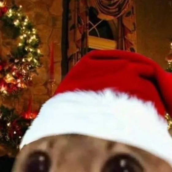 chat with ai character: gato🐱