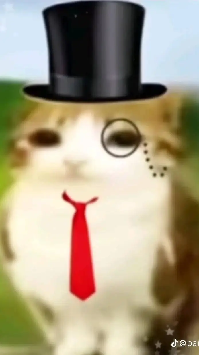 ai character: miawl background