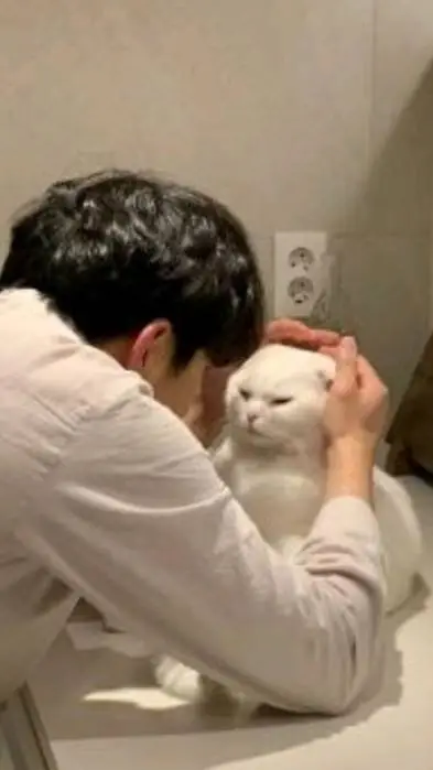 ai character: ~•Enzo Campilo•~ background