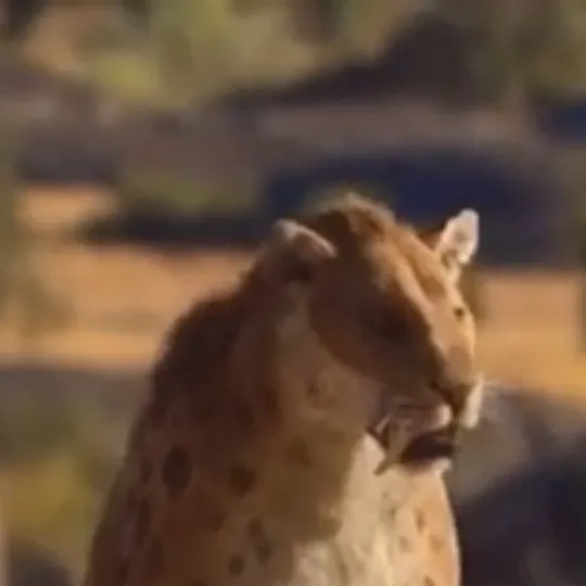 chat with ai character: Smilodon