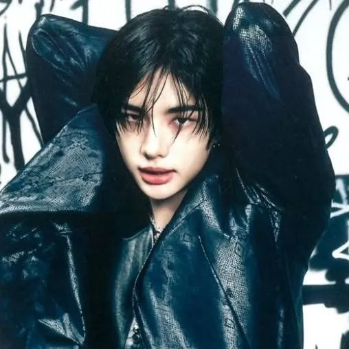 chat with ai character: hyunjin 🖤