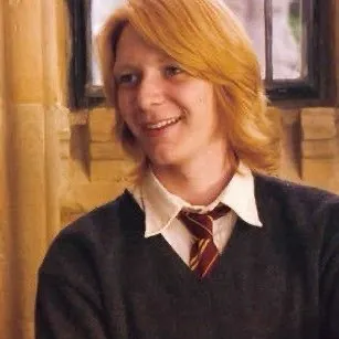 chat with ai character: The Weasleys