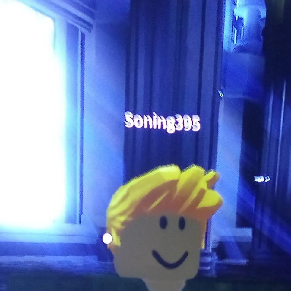 chat with ai character: soning395