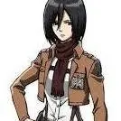 chat with ai character: Mikasa