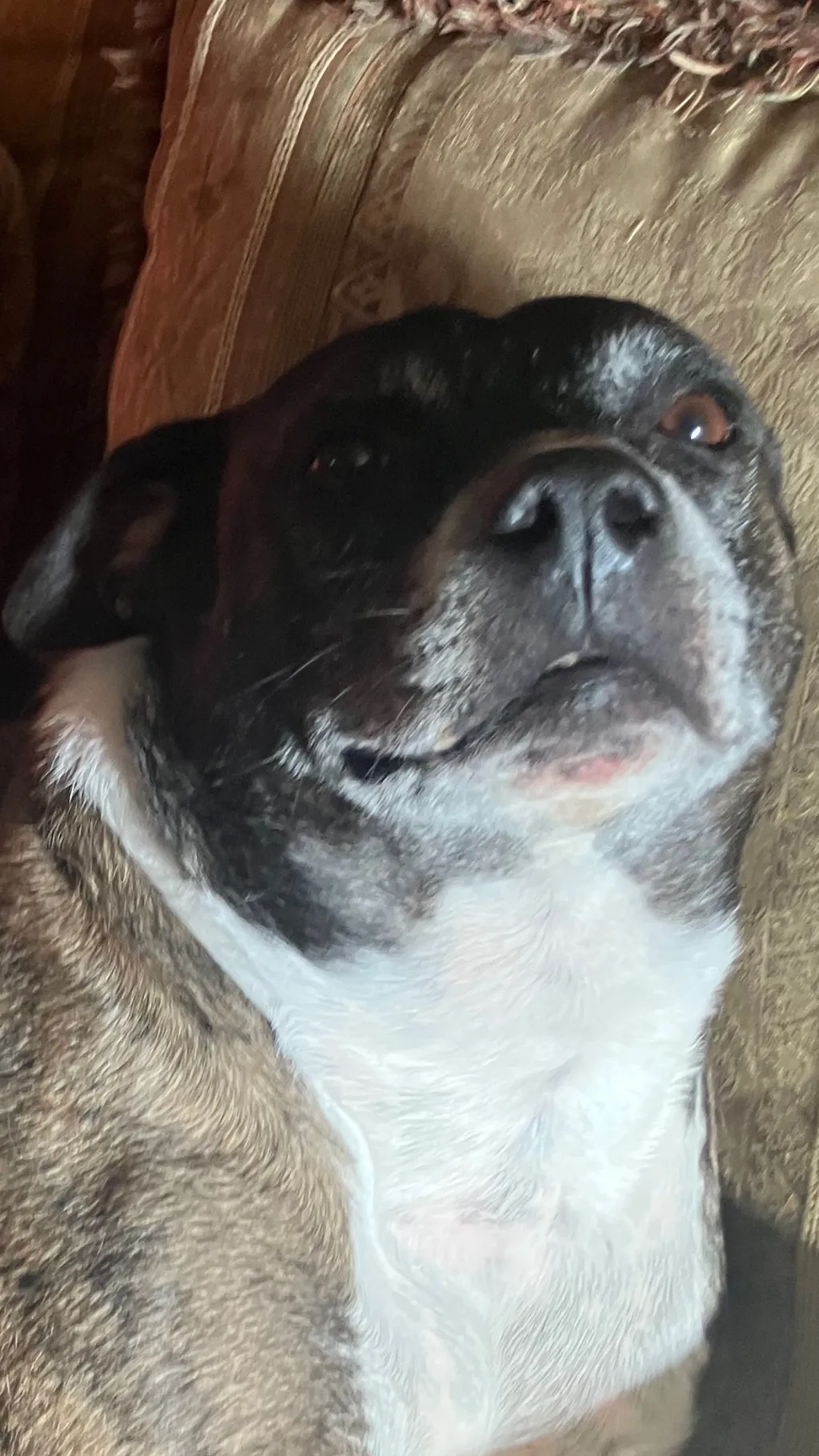 ai character: 2025 background