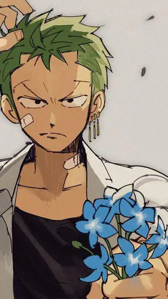 ai character: Roronoa Zoro background