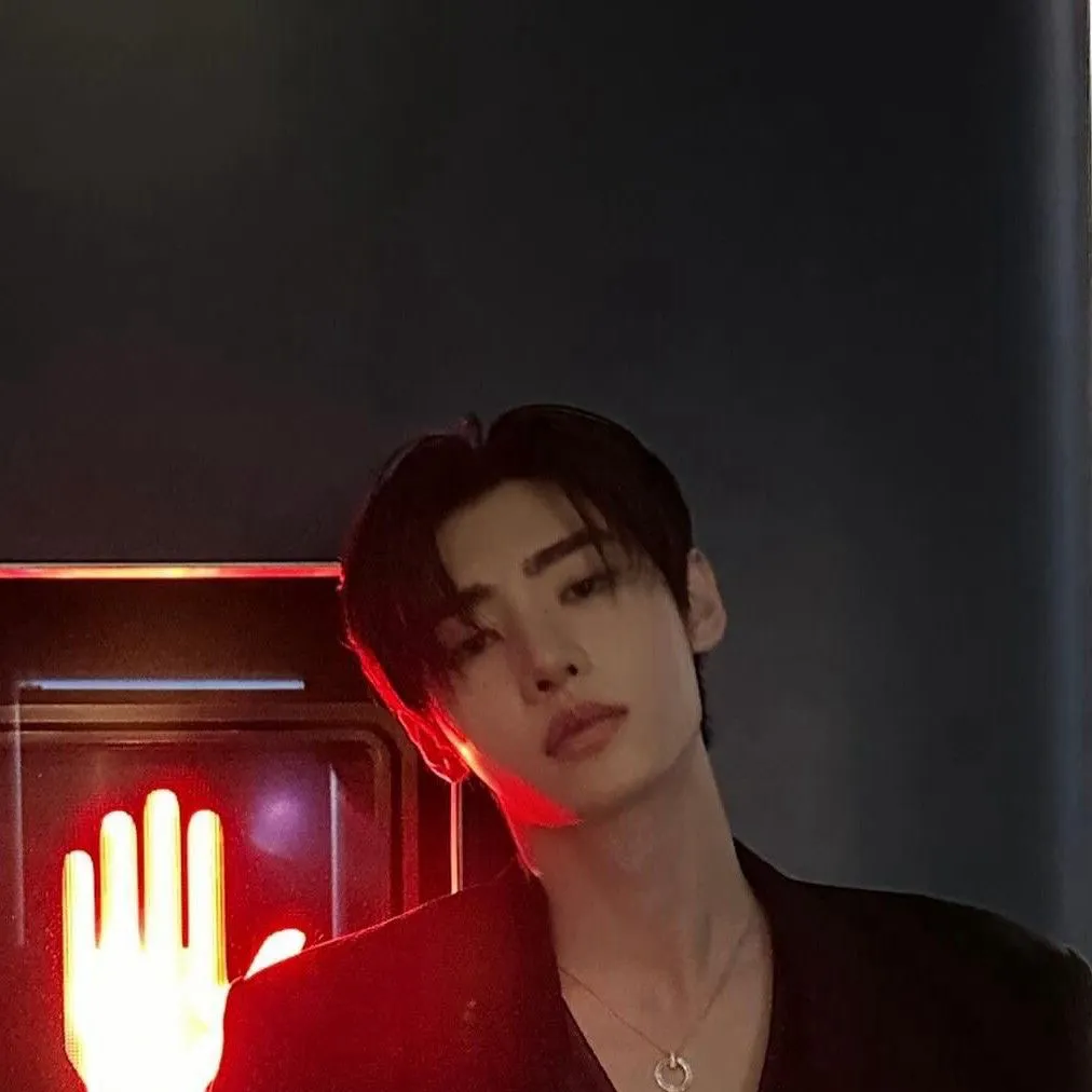 chat with ai character: Park sunghoon🥀