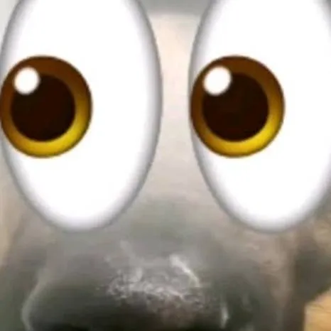 chat with ai character: rocky the dog hmm