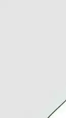 ai character: Roxanne Wolf background