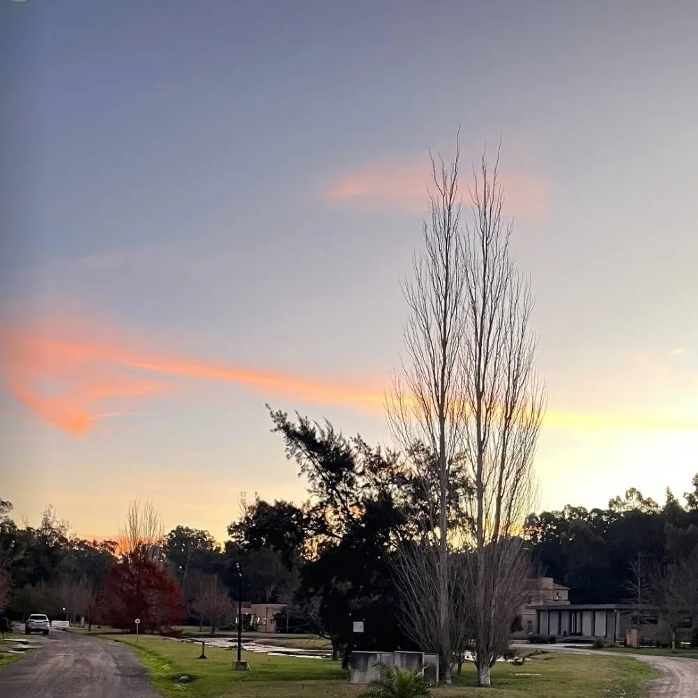 chat with ai character: Sanekana canon