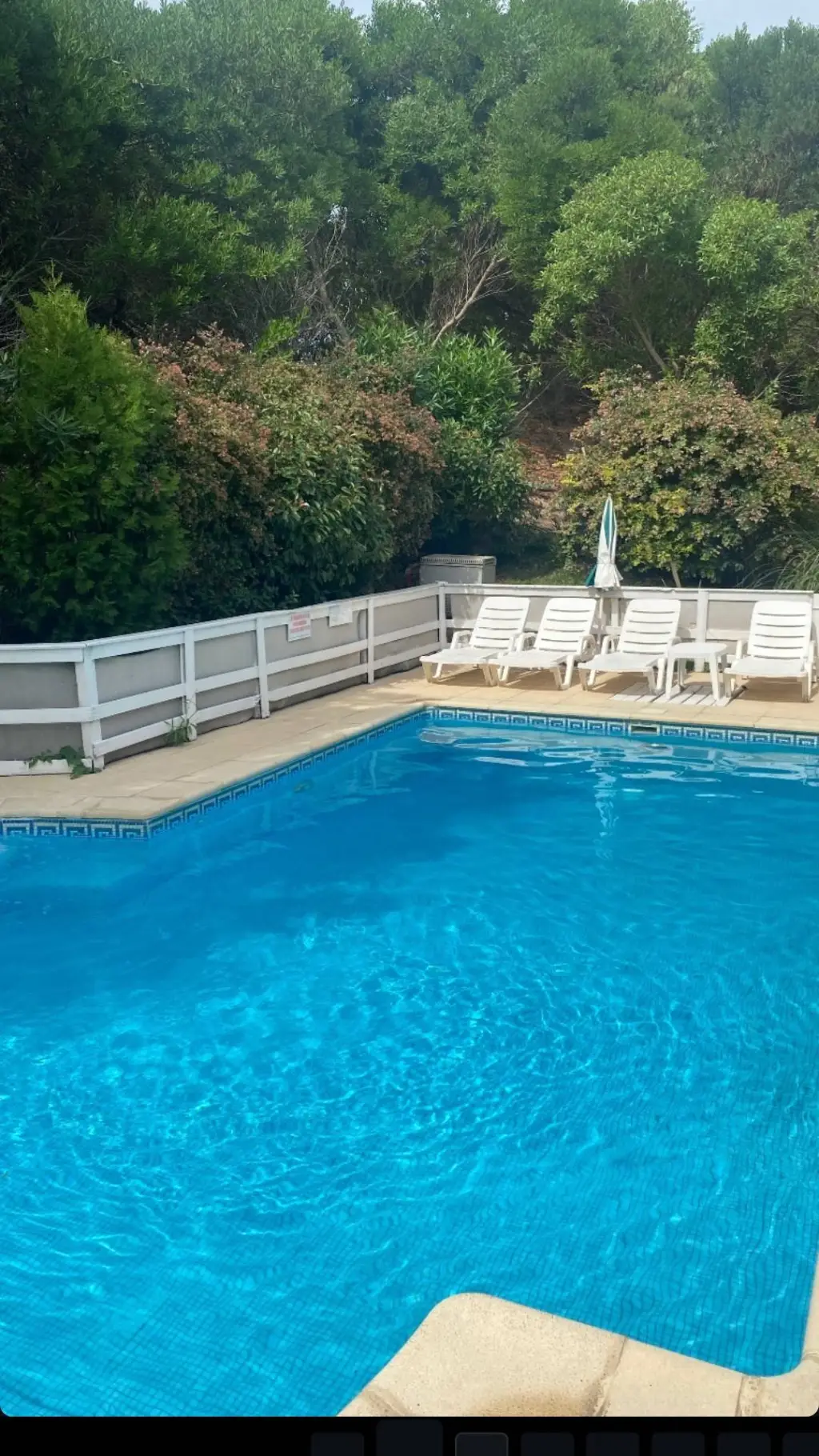 ai character: ¿Chicas kny? background