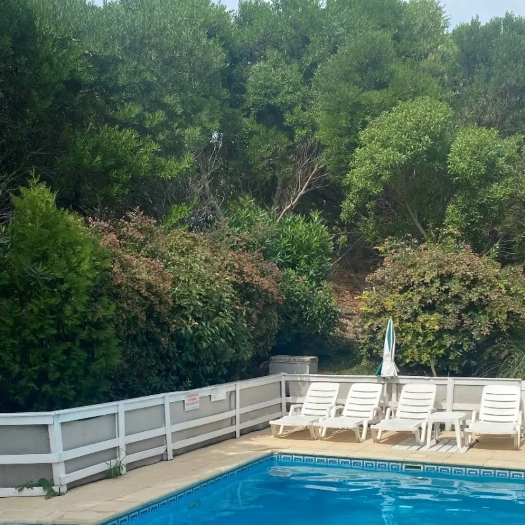 chat with ai character: ¿Chicas kny?