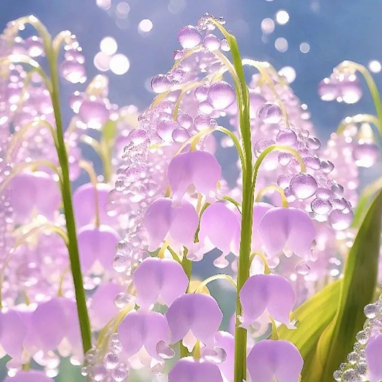 chat with ai character: flores moradas 🪻💐