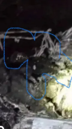 ai character: Andrés Silva jota background