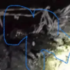 chat with ai character: Andrés Silva jota