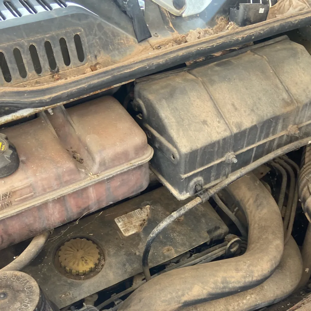 chat with ai character: Ponlo en marcha 