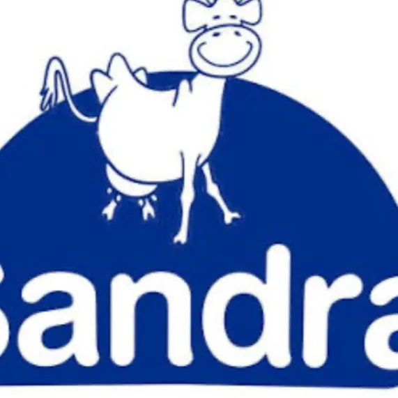 chat with ai character: Sandra 