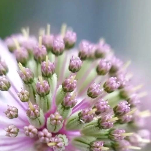 chat with ai character: 🍃Sanemi🍃