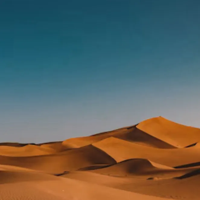 chat with ai character: Desert