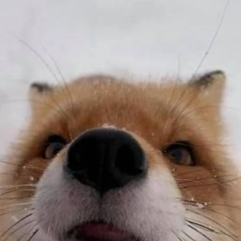 chat with ai character: Stream 1!