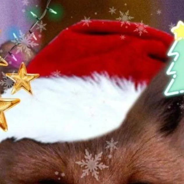 chat with ai character: Stream 2!