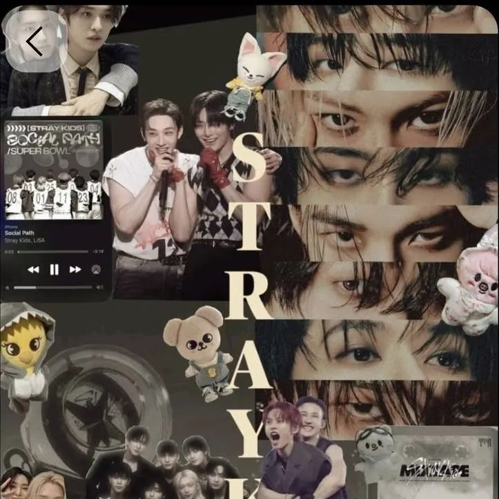 chat with ai character: straykids× y/n