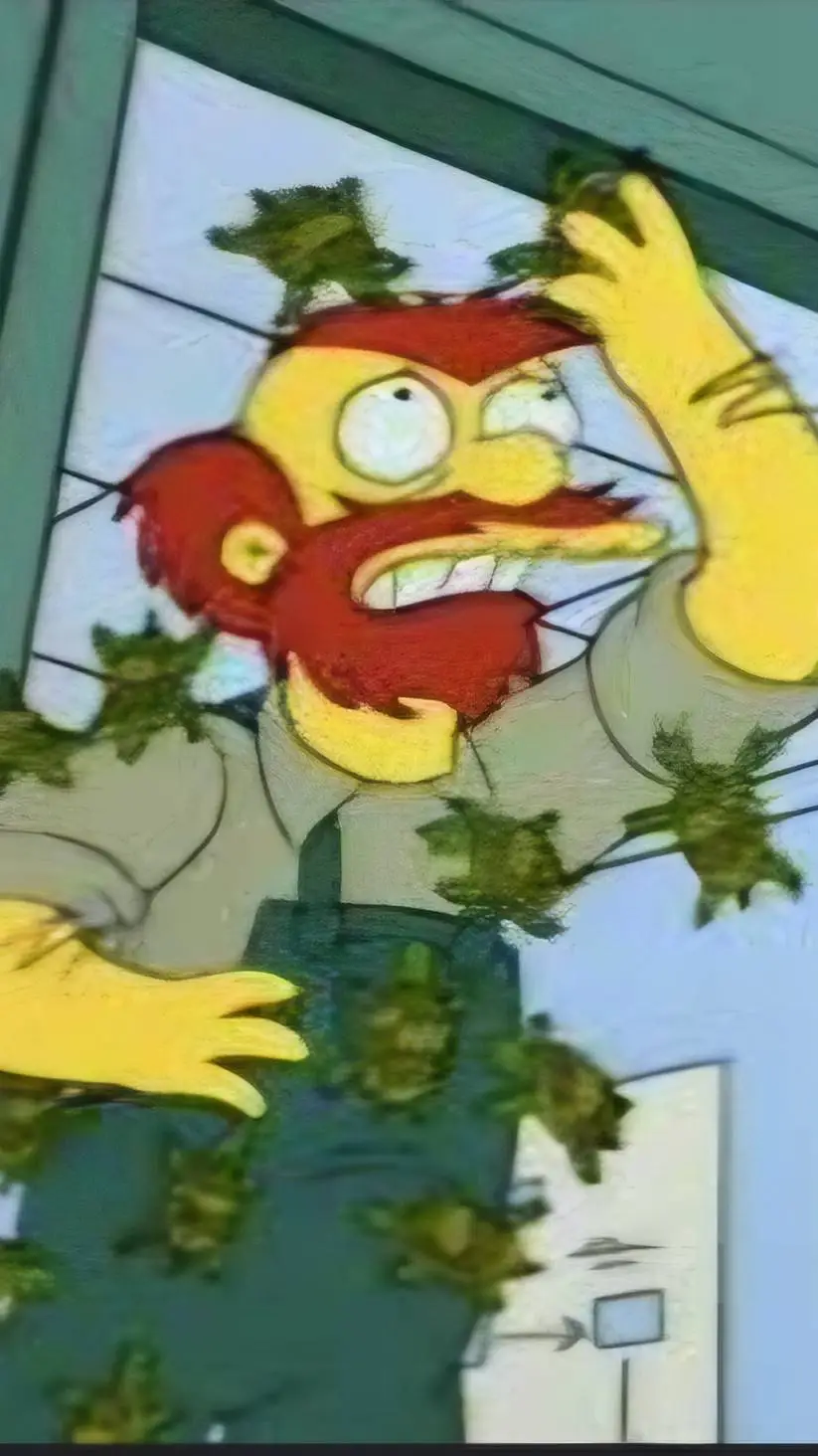 ai character: Willie macdougal  background