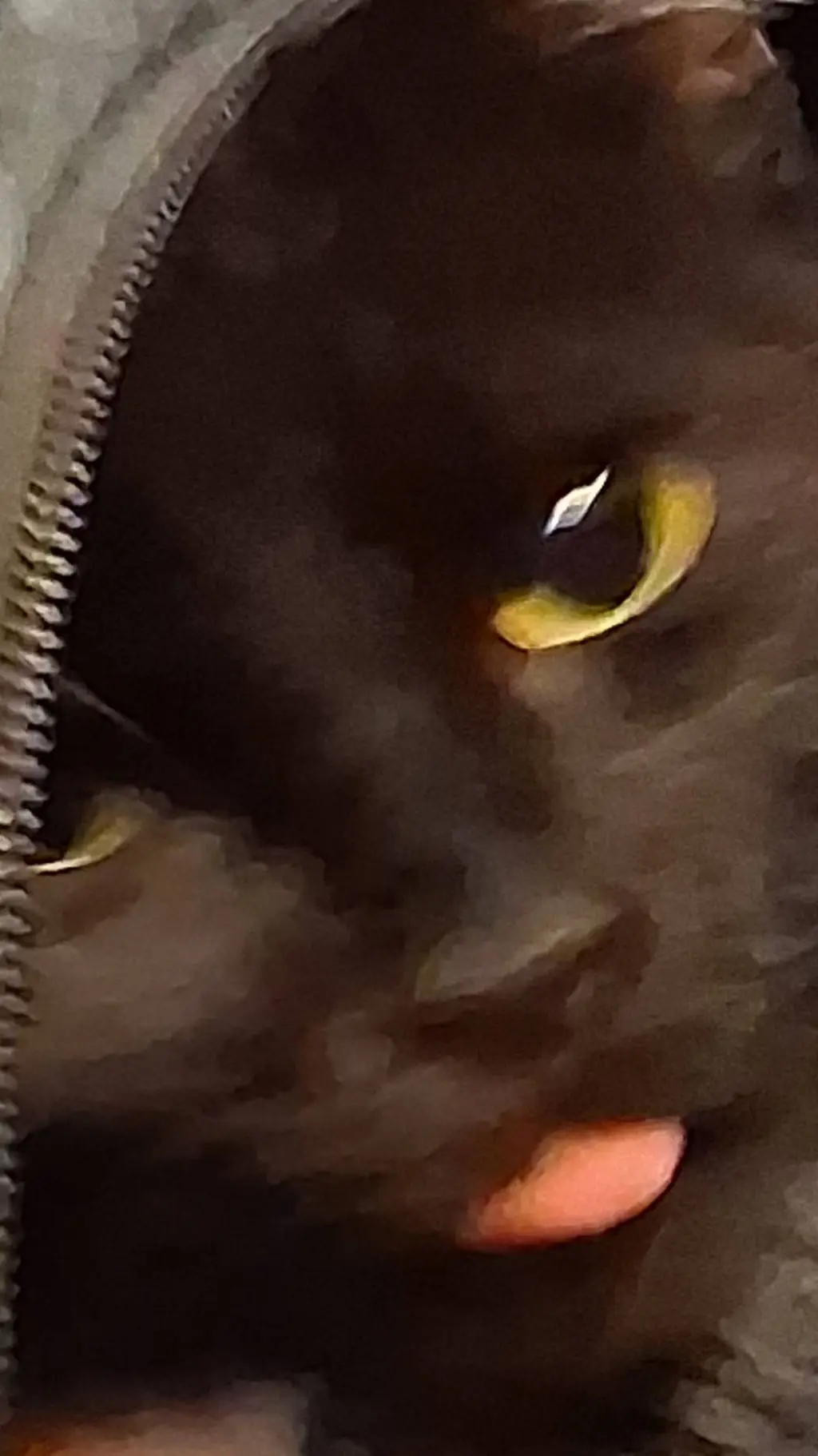 ai character: Clive the Catt background