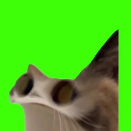 chat with ai character: :) happy