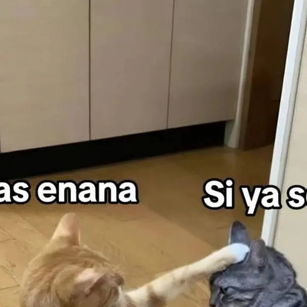 chat with ai character: tus novios MHA