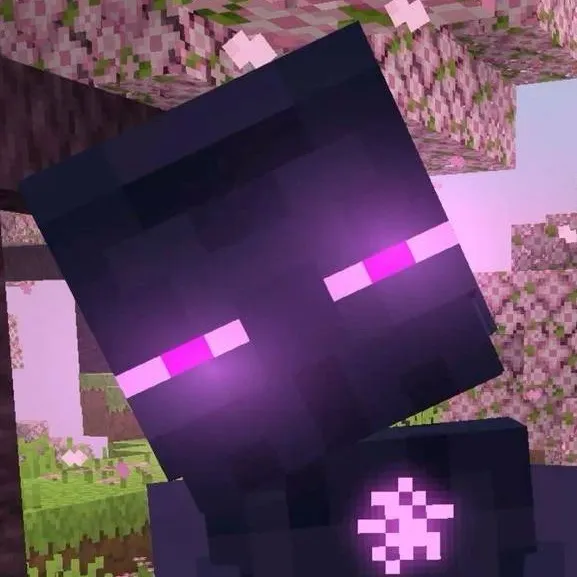 chat with ai character: Enderman