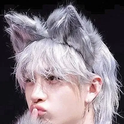 chat with ai character: skz 