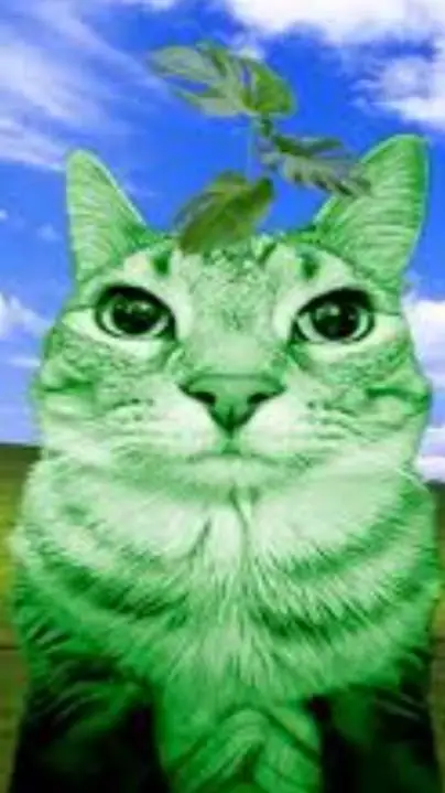 ai character: gato fotosintesis  background