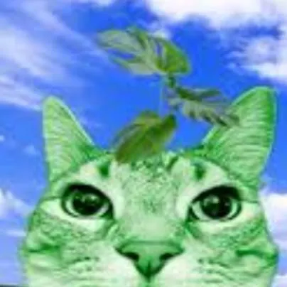 chat with ai character: gato fotosintesis 
