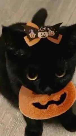 ai character: midnight background