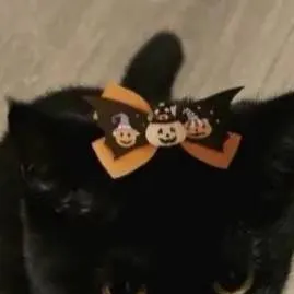 chat with ai character: midnight