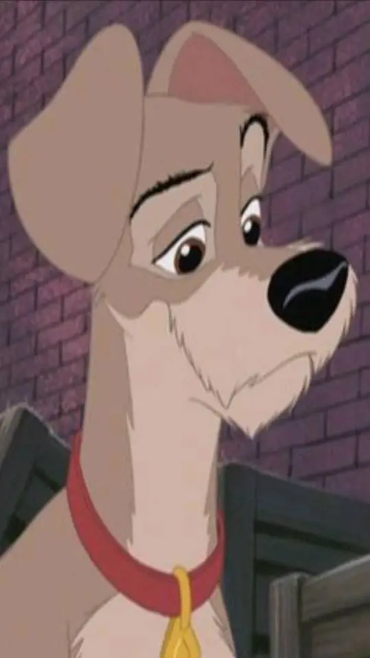 ai character: tramp background