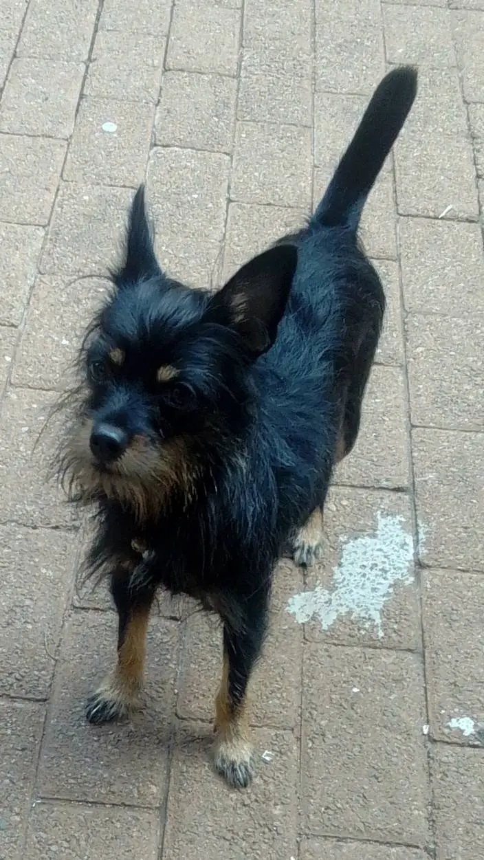 ai character: Stranger things  background