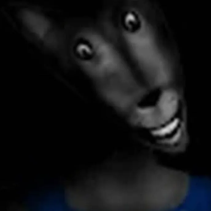 chat with ai character: Mr. Wolf