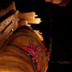 chat with ai character: Faye