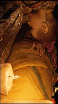 Talkie AI - Chat with Faye 