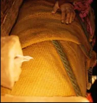 chat with ai character: Faye 