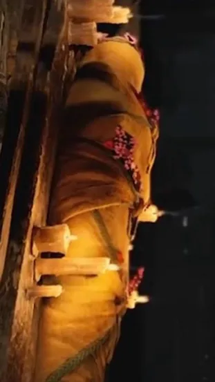 chat with ai character: Faye