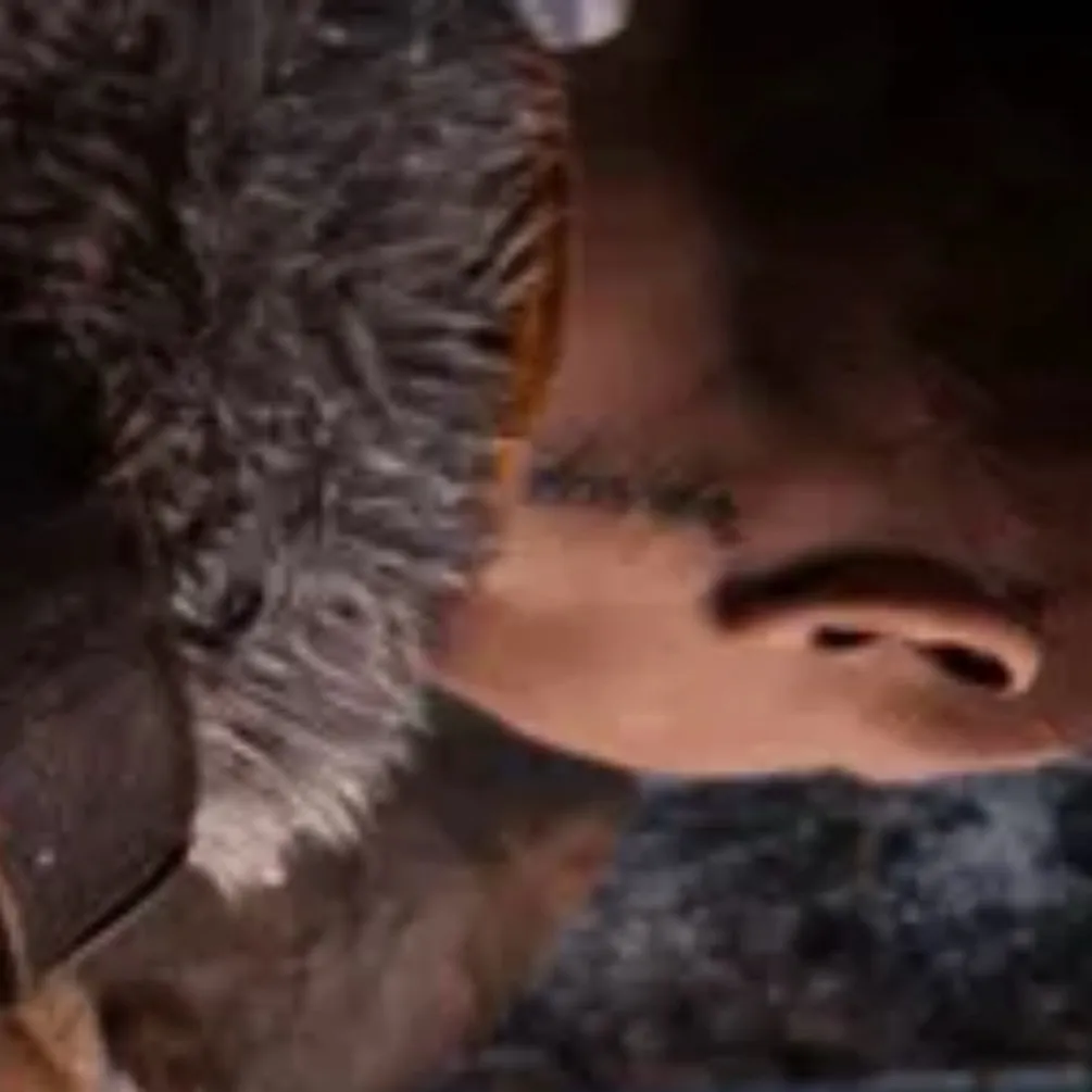 chat with ai character: Faye