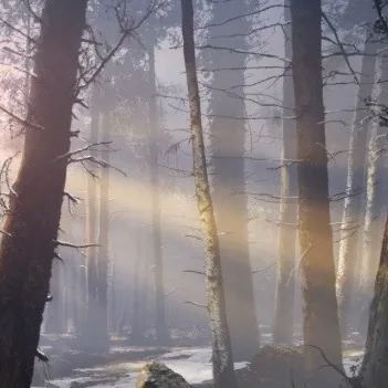 chat with ai character: Faye