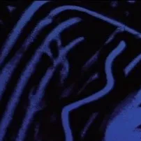 chat with ai character: Faye