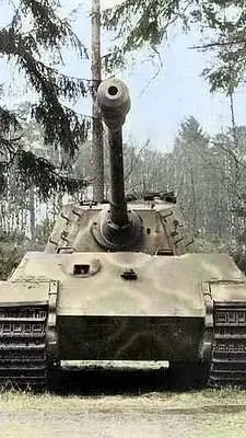 ai character: tiger II h background