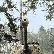 chat with ai character: tiger II h