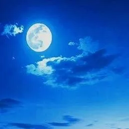 chat with ai character: Rin ✨👀